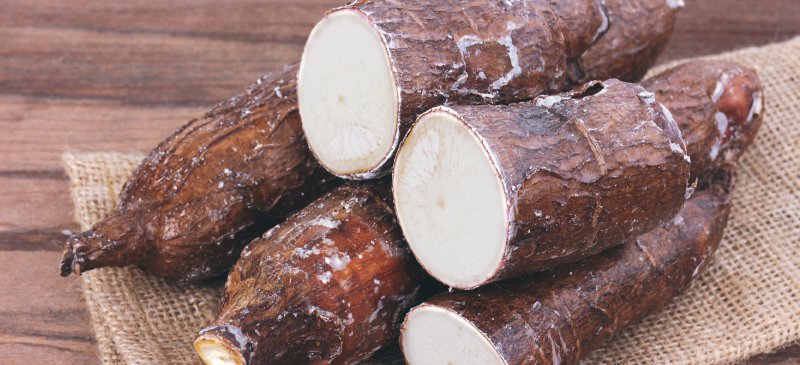Balsamo detergente riparatore alla radice di Yucca