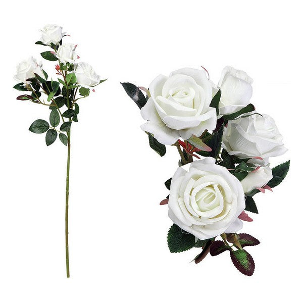 Stelo di 5 Rose 113021 Bianco (60 Cm)