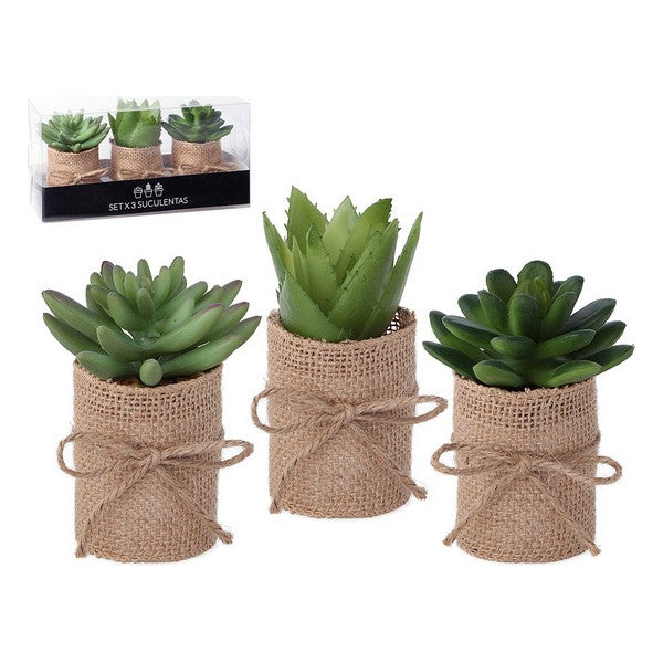 Pianta Decorativa 119626 Verde (3 Pz)