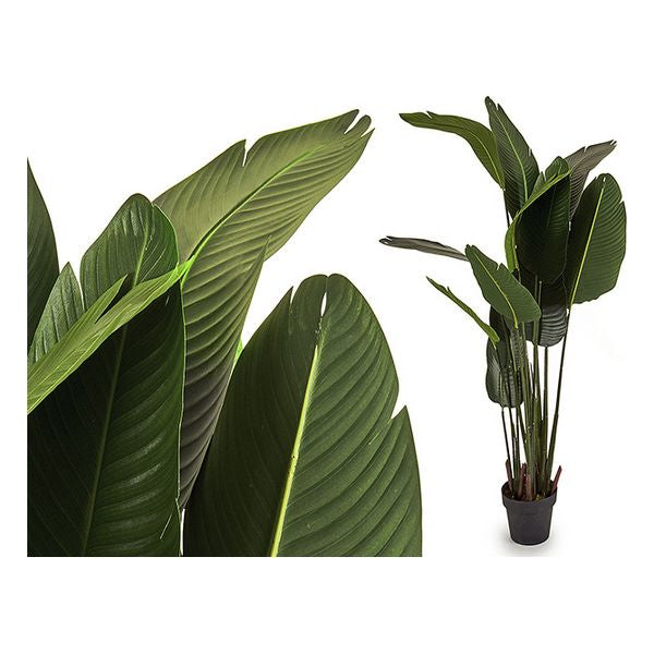 Fogli per piante decorative (40 x 176 x 40 cm)
