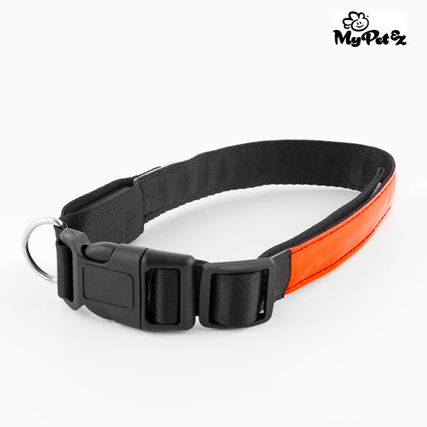 Collare per cani My Pet EZ LED