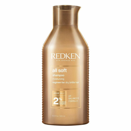 Shampoo Idratante Redken P1996800 500 ml
