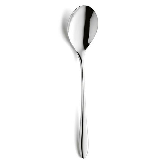 Set of Spoons Amefa Cuba Metal 21,6 cm 12 Units