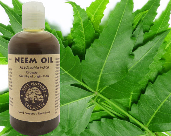 Olio di Neem vergine puro al 100% (biologico, non diluito,