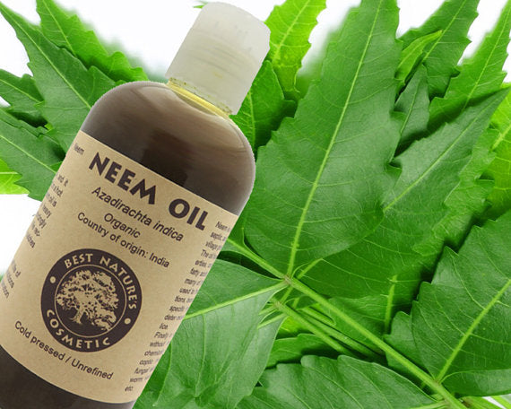 Olio di Neem vergine puro al 100% (biologico, non diluito,