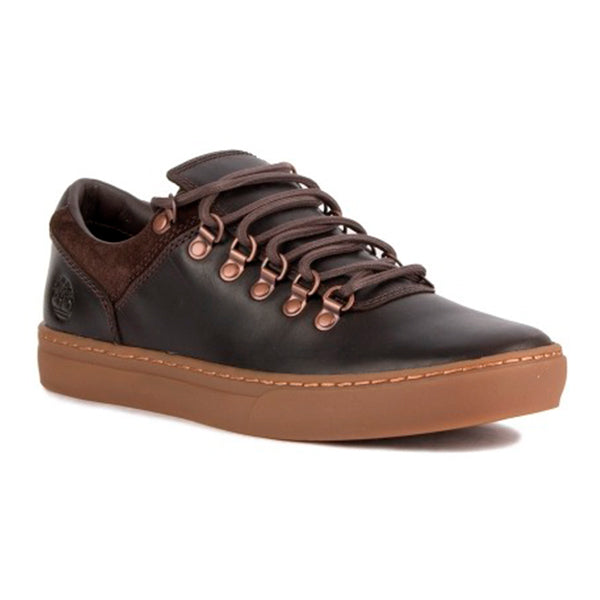 Scarpe da ginnastica casual da uomo Timberland ADV 2.0 CUPSOLE Pelle Marrone
