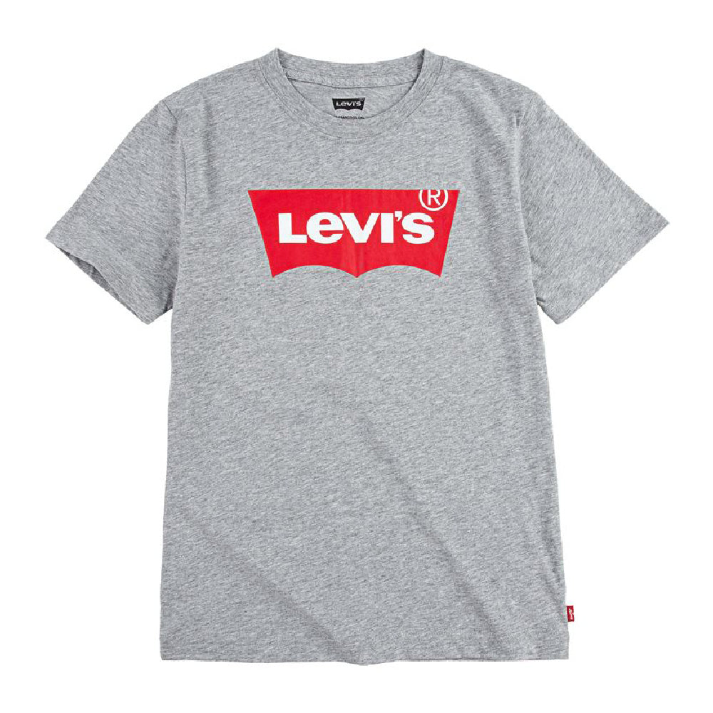 T-shirt a maniche corte per bambini Levi's Batwing Grey Grigio chiaro