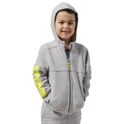 Felpa con cappuccio per bambini Reebok B ES FL FZ HDY Grigia