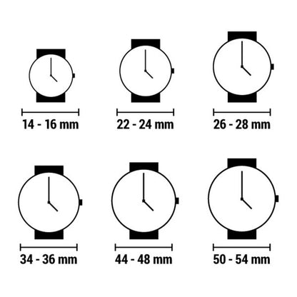 Ladies'Watch Laura Biagiotti LB0042L-BG (Ø 24 mm)