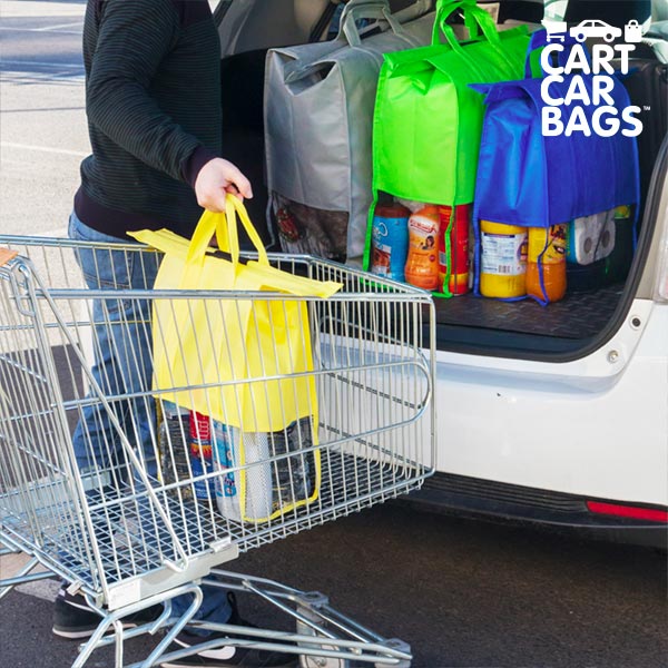 Cart Car Car Boot Carriers bags for Shopping (pack of 4)
