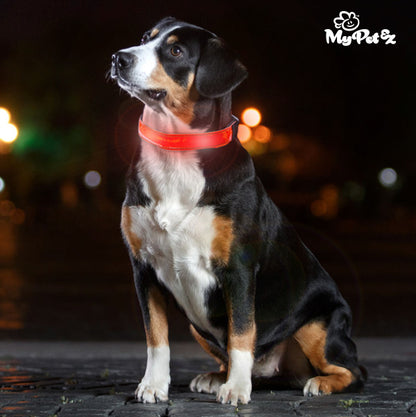 Collare per cani My Pet EZ LED