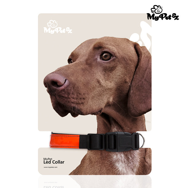 Collare per cani My Pet EZ LED
