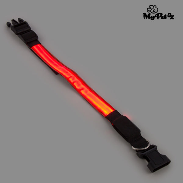 Collare per cani My Pet EZ LED