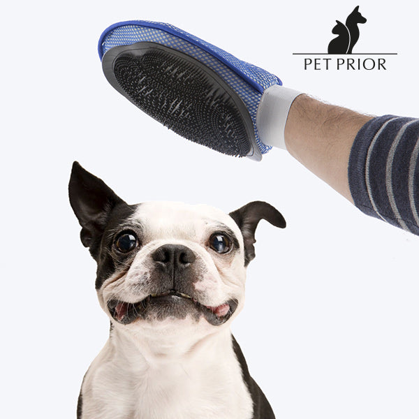 Spazzola e guanto per animali domestici Pet Prior