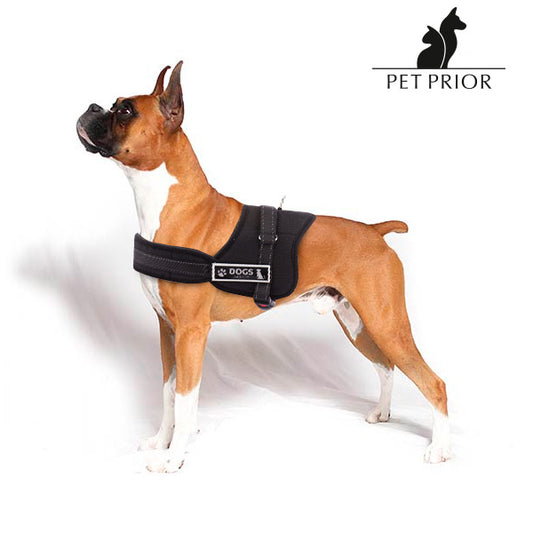 Pettorina per cani regolabile Pet Prior