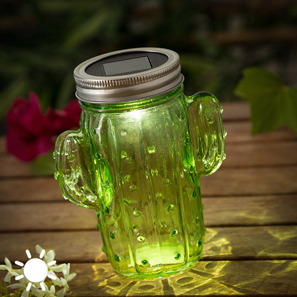 Luce solare per cactus (1 luce LED)